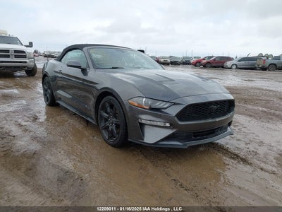 FORD MUSTANG 2019