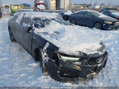 ACURA TLX 2021