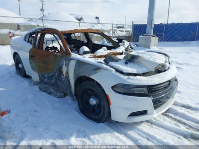 DODGE CHARGER 2020