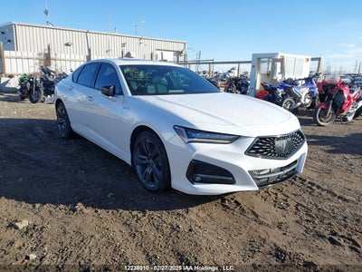 ACURA TLX 2022