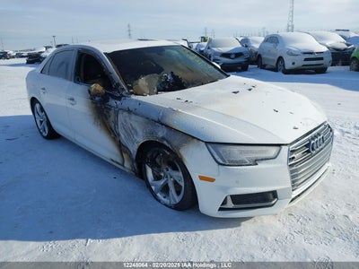 AUDI SS 2019