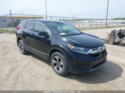 HONDA CR-V LX 2019