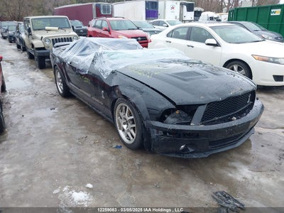 FORD SHELBY GT500 2007
