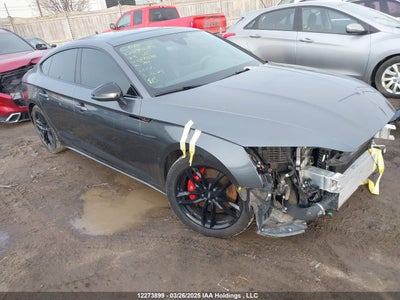 AUDI S5 2023