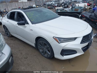 ACURA TLX 2021