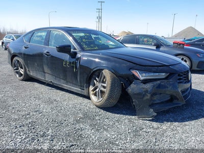 ACURA TLX 2024