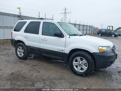 FORD ESCAPE 2005
