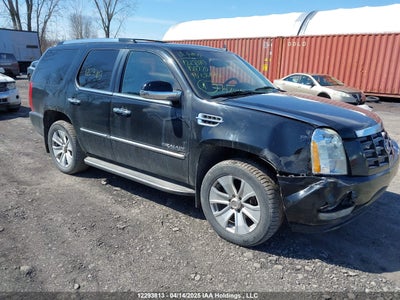 CADILLAC ESCALADE 2010