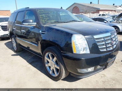 CADILLAC ESCALADE 2010