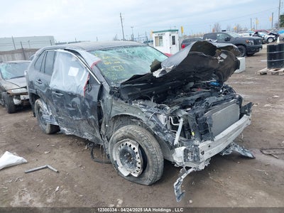 TOYOTA RAV4 2023