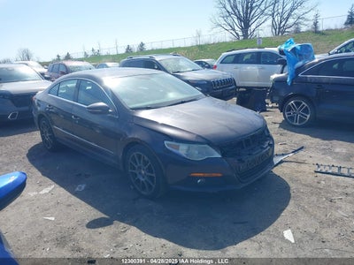 VOLKSWAGEN ION 2010