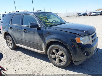 FORD ESCAPE 2010