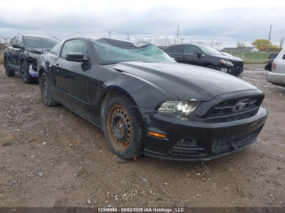 FORD MUSTANG 2013