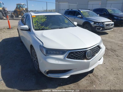 ACURA TLX 2019