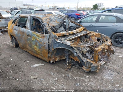 TOYOTA RAV4 2024