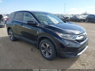 HONDA CR-V LX 2017