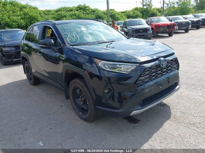 TOYOTA RAV4 2021