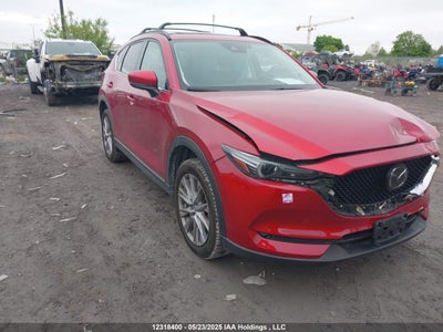 MAZDA GT 2019