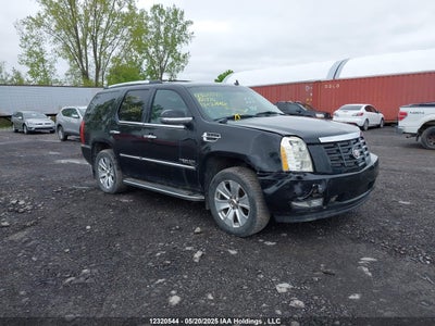 CADILLAC ESCALADE 2010