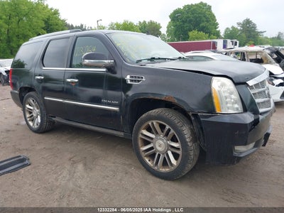 CADILLAC ESCALADE 2010