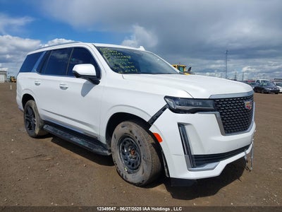 CADILLAC ESCALADE 2023