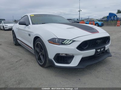 FORD MUSTANG 2023
