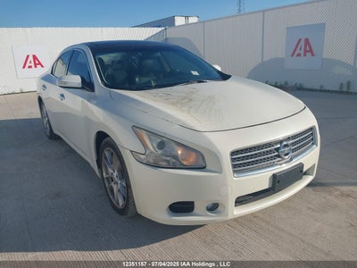 NISSAN MAXIMA 2010