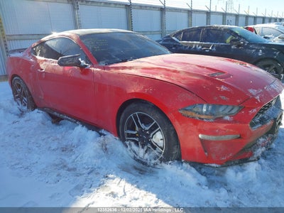 FORD MUSTANG 2019