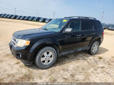 FORD ESCAPE XLT 2010