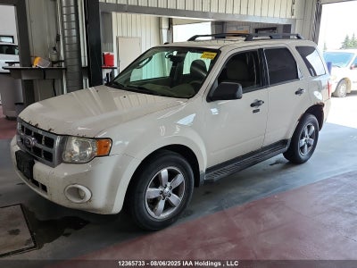 FORD ESCAPE XLT 2010