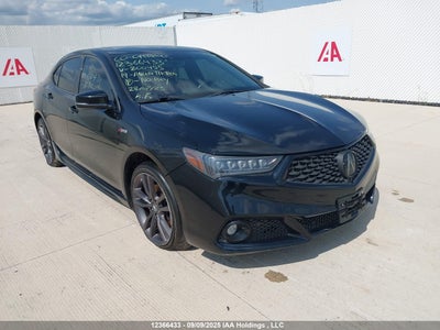 ACURA TLX 2019