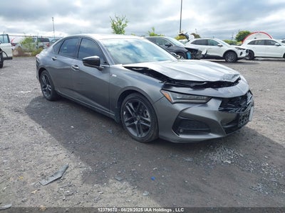 ACURA TLX 2024