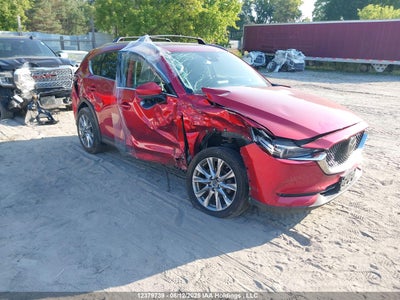 MAZDA GT 2019