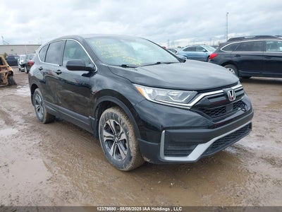 HONDA CR-V 2020