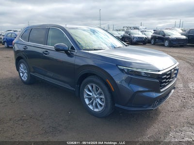 HONDA CR-V 2024