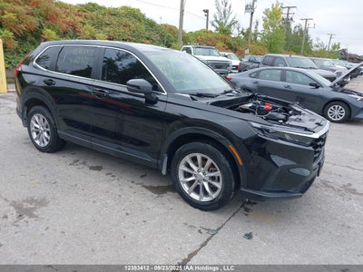 HONDA CR-V 2023