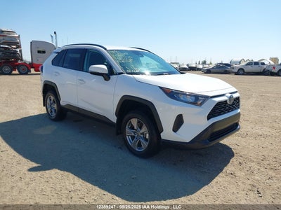 TOYOTA RAV4 2024