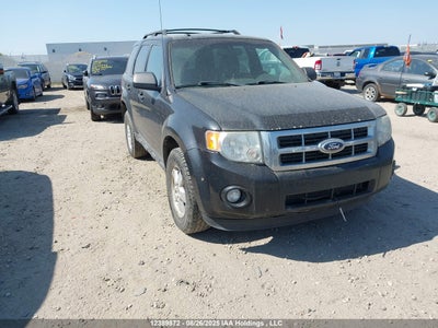 FORD ESCAPE 2011