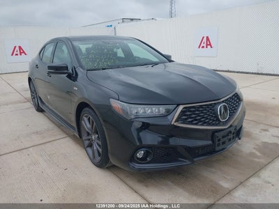 ACURA TLX 2019