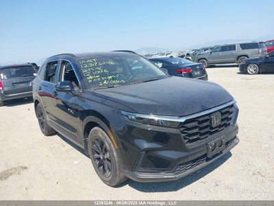 HONDA CR-V 2024