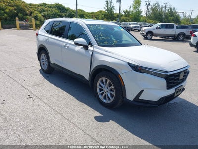 HONDA CR-V 2023