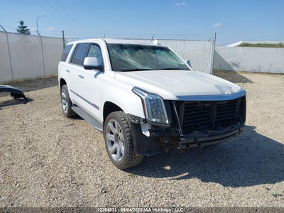 CADILLAC ESCALADE 2019