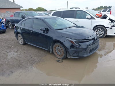 TOYOTA COROLLA HYBRID 2024