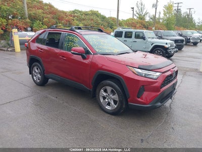 TOYOTA RAV4 2023