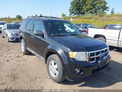 FORD ESCAPE XLT 2011