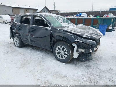 HONDA CR-V 2025
