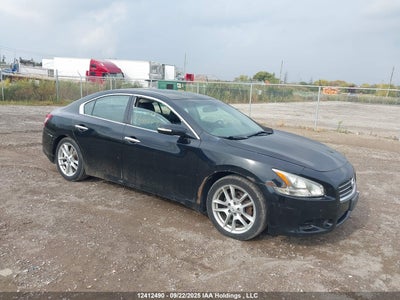 NISSAN MAXIMA 2011