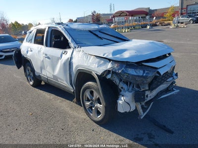 TOYOTA RAV4 2024