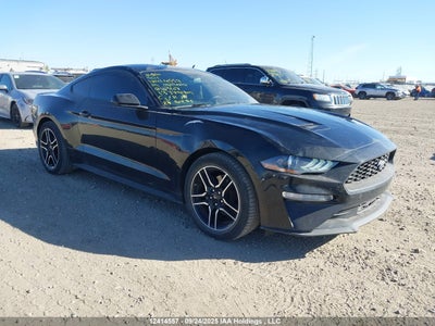 FORD MUSTANG 2019