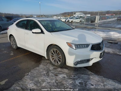 ACURA TLX 2019